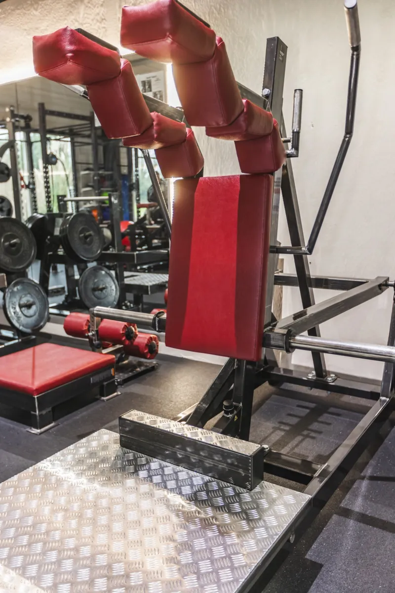 Machine de hack squat à charges libres du plateau